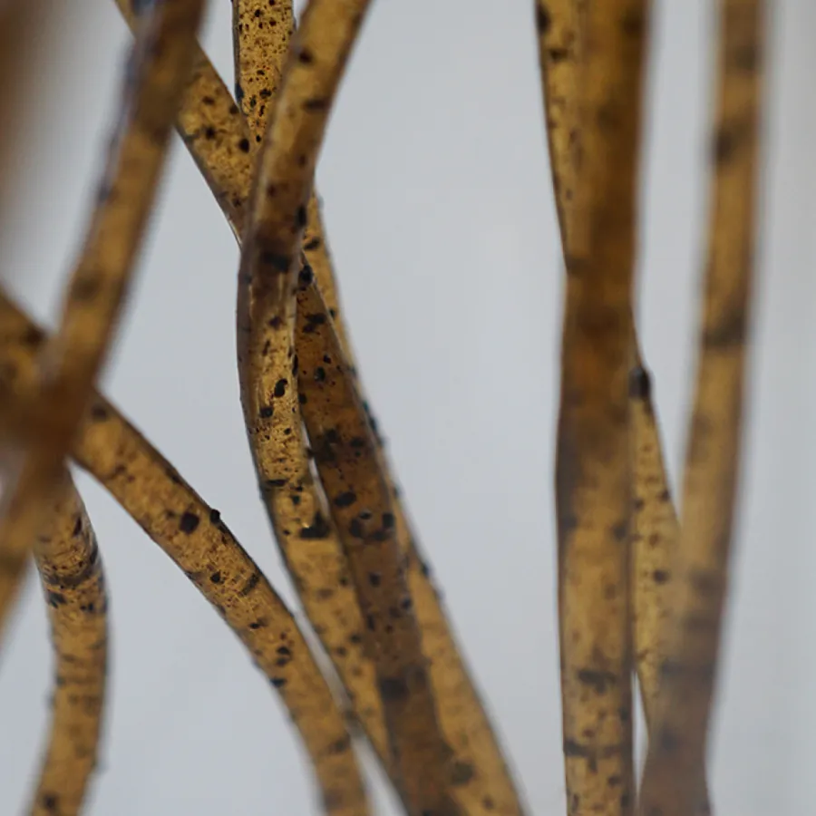 Extruded bio-based strings with a speckled coffee finish